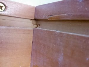 Arctic White Shaker Drawer Box joint 3